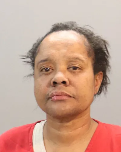 Booking photo of Takiela Nichole Hines, Knox County, Feb 7, 2026