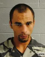 Booking photo of Johnathan Wayne Davis, Loudon County, Sep 30, 2020