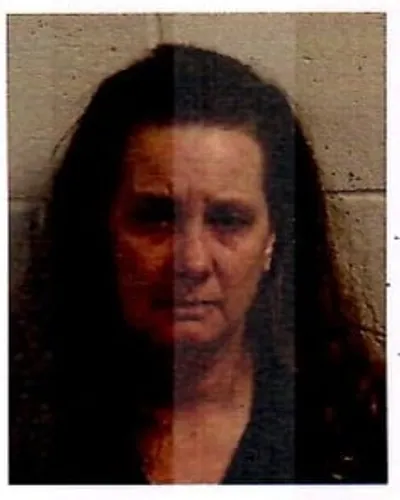 Booking photo of Tackett, Jennifer, Madison County, Feb 24, 2026