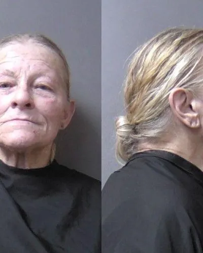 Booking photo of Cynthia Idlewine, Madison County, Feb 18, 2026
