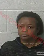 Booking photo of Ann Marie Jones, Marshall County, Apr 22, 2017