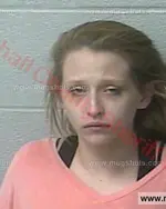 Booking photo of Nicole Erin Clemmons, Marshall County, Feb 1, 2018