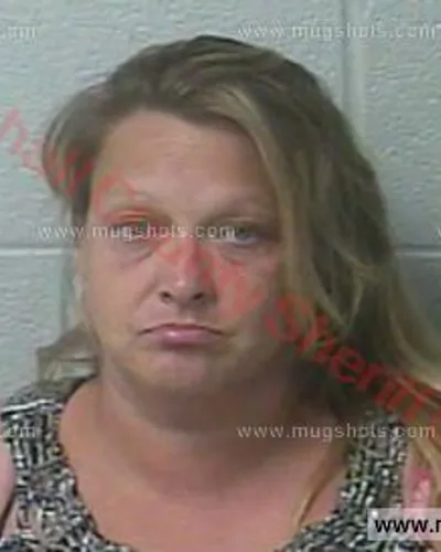 Booking photo of Tina Fullerton, Marshall County, Jun 14, 2016