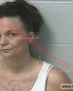 Booking photo of Alicia Danielle Flickinger, Marshall County, Jul 4, 2018