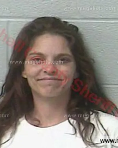 Booking photo of Callie Michelle Haynes, Marshall County, May 14, 2018
