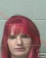 Booking photo of Misty Nichole King, Marshall County, Jan 11, 2017