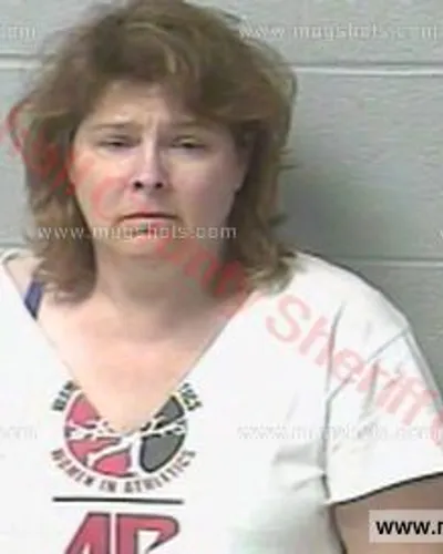 Booking photo of Sueann Willett, Marshall County, Oct 14, 2016