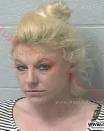 Booking photo of Brittany Nichole Heithcock, Marshall County, Dec 13, 2016