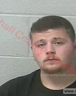 Booking photo of Logan Robert Hale, Marshall County, Feb 15, 2016