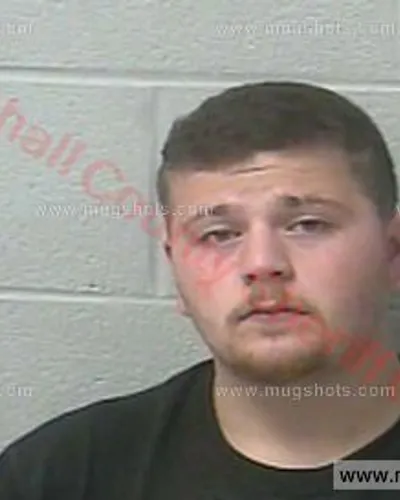 Booking photo of Logan Hale, Marshall County, Feb 15, 2016