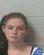 Booking photo of Tesa Leeann Chamblee, Marshall County, Nov 12, 2016