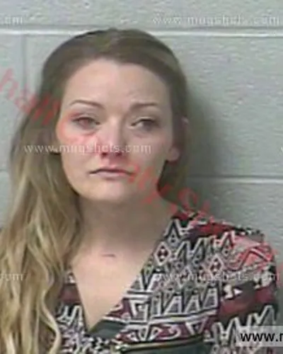 Booking photo of Lorrie Lynn Reel, Marshall County, Jun 27, 2017