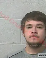 Booking photo of TROY DEWAYNE ADAMS Jr., Marshall County, Feb 5, 2017