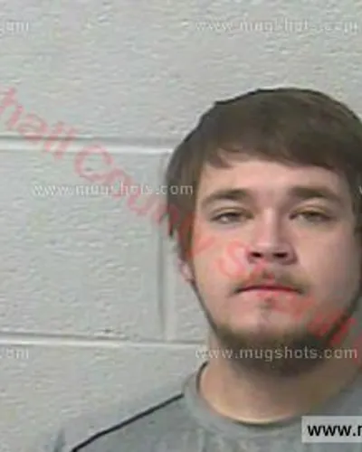 Booking photo of TROY DEWAYNE ADAMS Jr., Marshall County, Feb 5, 2017