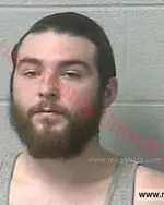 Booking photo of Logan Jon Gerard, Marshall County, Jan 17, 2017