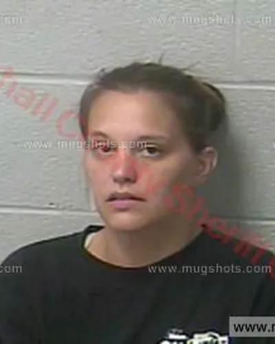 Booking photo of STEPHANIE MICHELLE LEE, Marshall County, Aug 28, 2017