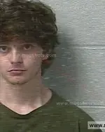 Booking photo of Robert Alexander Gibson, Marshall County, Mar 14, 2020