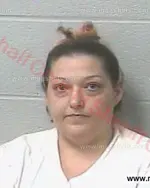 Booking photo of Lezli Renae Touchstone, Marshall County, Apr 13, 2016