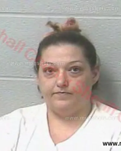 Most recent booking photo for Lezli Renae Touchstone