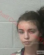 Booking photo of Lorna Darian Mitchell, Marshall County, Nov 10, 2016