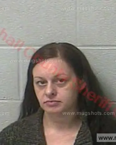 Booking photo of Brandy Leigh Skinner, Marshall County, Jan 13, 2018
