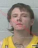 Booking photo of Calvin Dwayne Black, Marshall County, Feb 15, 2016