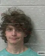 Booking photo of Robert Alexander Gibson, Marshall County, Mar 21, 2020