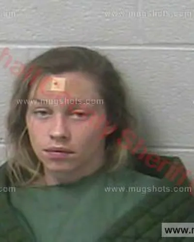 Booking photo of Brittney Wedge, Marshall County, Apr 5, 2017