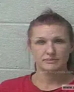 Booking photo of Shannon Nicole Johnson, Marshall County, Jan 13, 2020