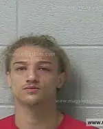 Booking photo of Derico Sharon Brown, Marshall County, Jun 1, 2019