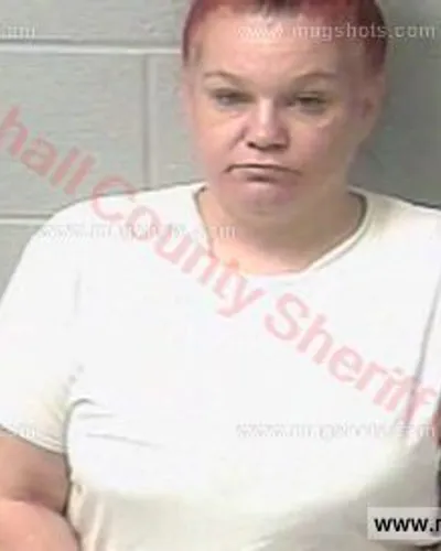 Booking photo of Brandy Suzann Dunn, Marshall County, Jun 12, 2017