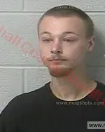 Booking photo of Brandon Lawrence Taylor, Marshall County, Mar 30, 2017