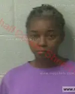 Booking photo of Evelyn Denise Mitchell, Marshall County, Mar 2, 2018