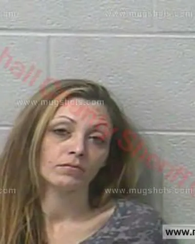 Booking photo of Tara Michelle Rowe, Marshall County, Feb 21, 2017