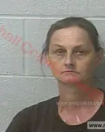 Booking photo of Emily Joyce Stinnett, Marshall County, May 31, 2017