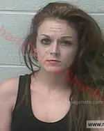 Booking photo of Kristin Noel Davis, Marshall County, Dec 15, 2017