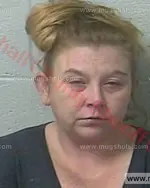 Booking photo of Elizabeth Sue Daniels, Marshall County, Dec 25, 2016