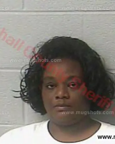 Booking photo of April Cross, Marshall County, Nov 3, 2016