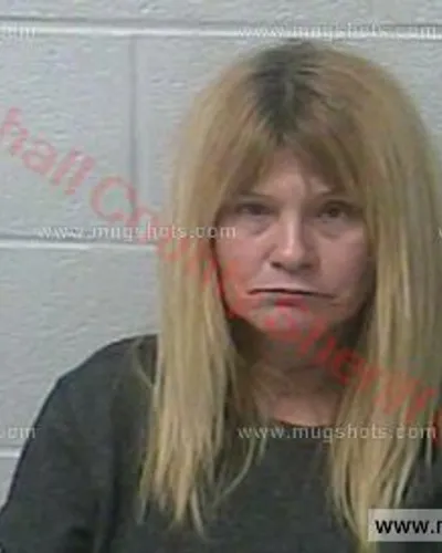 Booking photo of Sheryl Logan, Marshall County, Feb 27, 2017