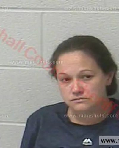 Booking photo of Tracy Lykins, Marshall County, Apr 27, 2018