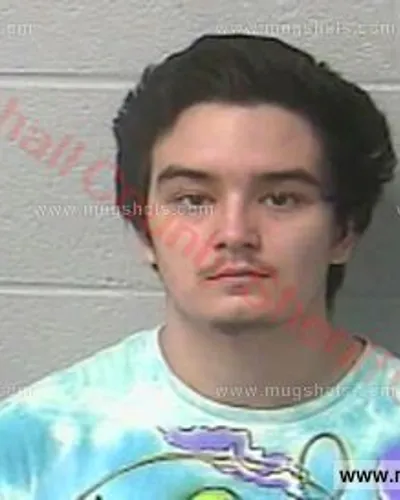 Booking photo of Daniel Robinson, Marshall County, Apr 16, 2017