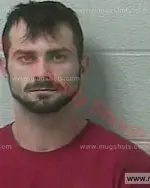 Booking photo of Dwayne Austin Mealer, Marshall County, Mar 15, 2018