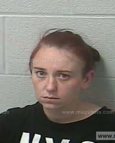 Booking photo of Ashley Nicole Wiles, Marshall County, Jan 9, 2019
