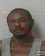 Booking photo of Eric Jordan Harris, Marshall County, Aug 15, 2017