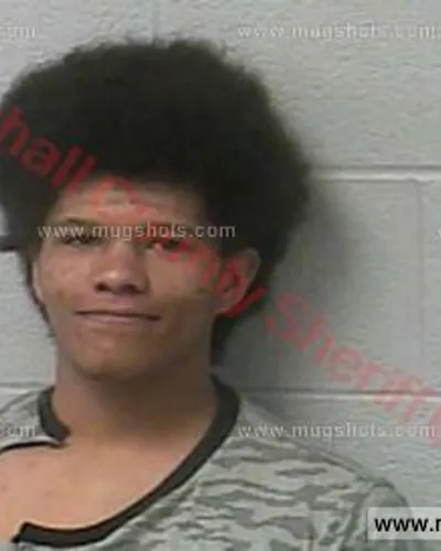 Booking photo of TERRANCE DEWAYNE SMITH Jr., Marshall County, Mar 11, 2018