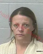 Booking photo of Cindy Waynelle Little, Marshall County, Mar 14, 2017