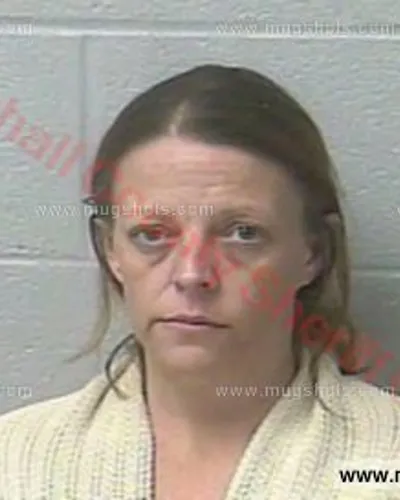 Booking photo of Cindy Little, Marshall County, Mar 14, 2017