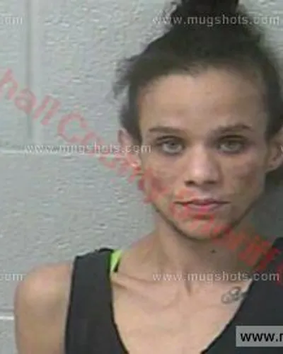 Booking photo of Michelle Antoinette Scruggs, Marshall County, Jan 11, 2018