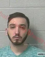 Booking photo of Marcus Colton Wilkerson, Marshall County, Feb 17, 2018