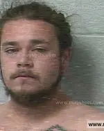 Booking photo of TROY DEWAYNE ADAMS Jr., Marshall County, Apr 26, 2020